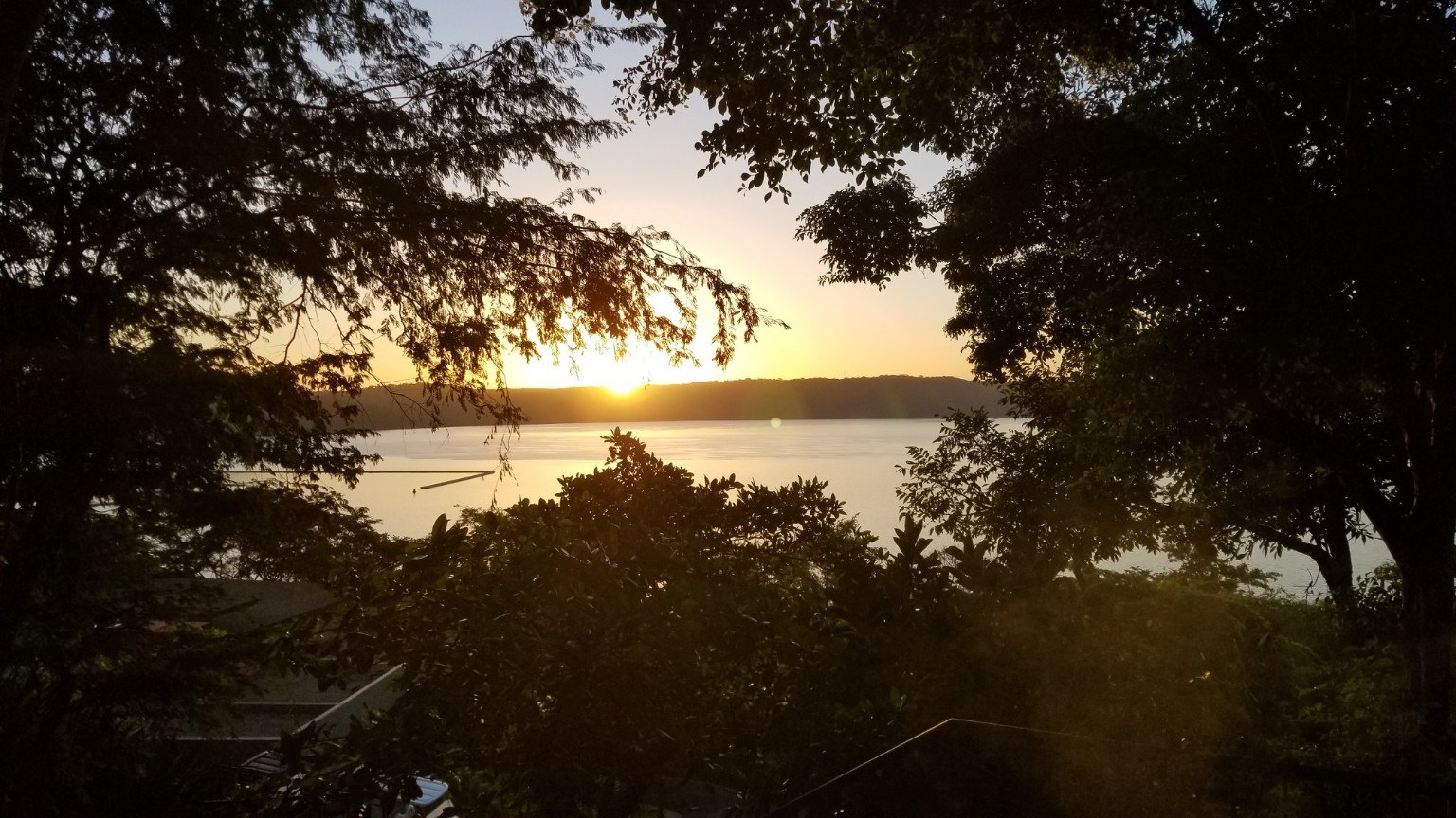 Sun through trees over the bay