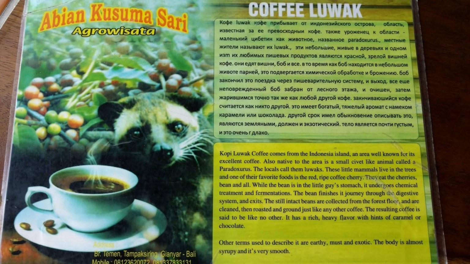 The kopi luwak explanation board