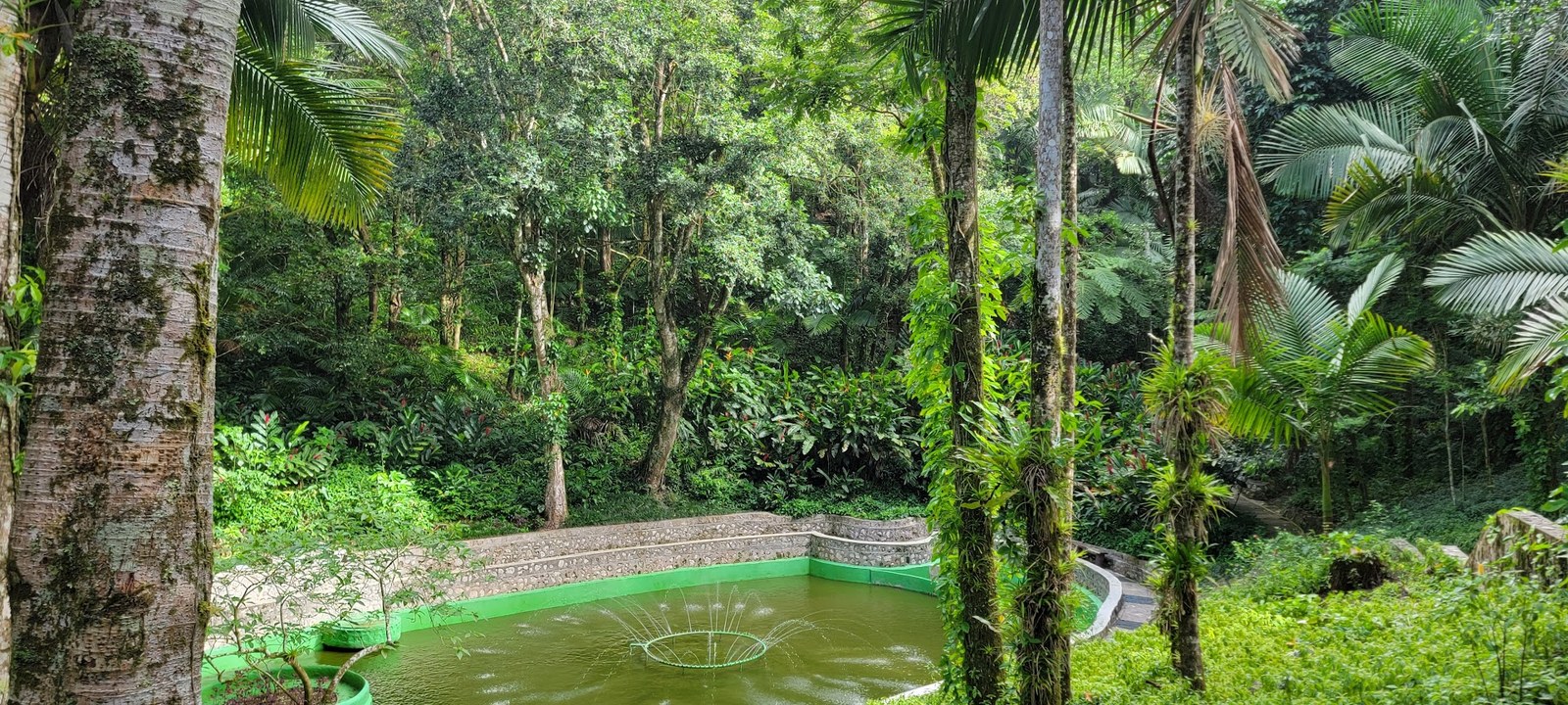A quiet pond and dense botanical garden near the summit, proof that Puerto Plata is not only beach and rum.