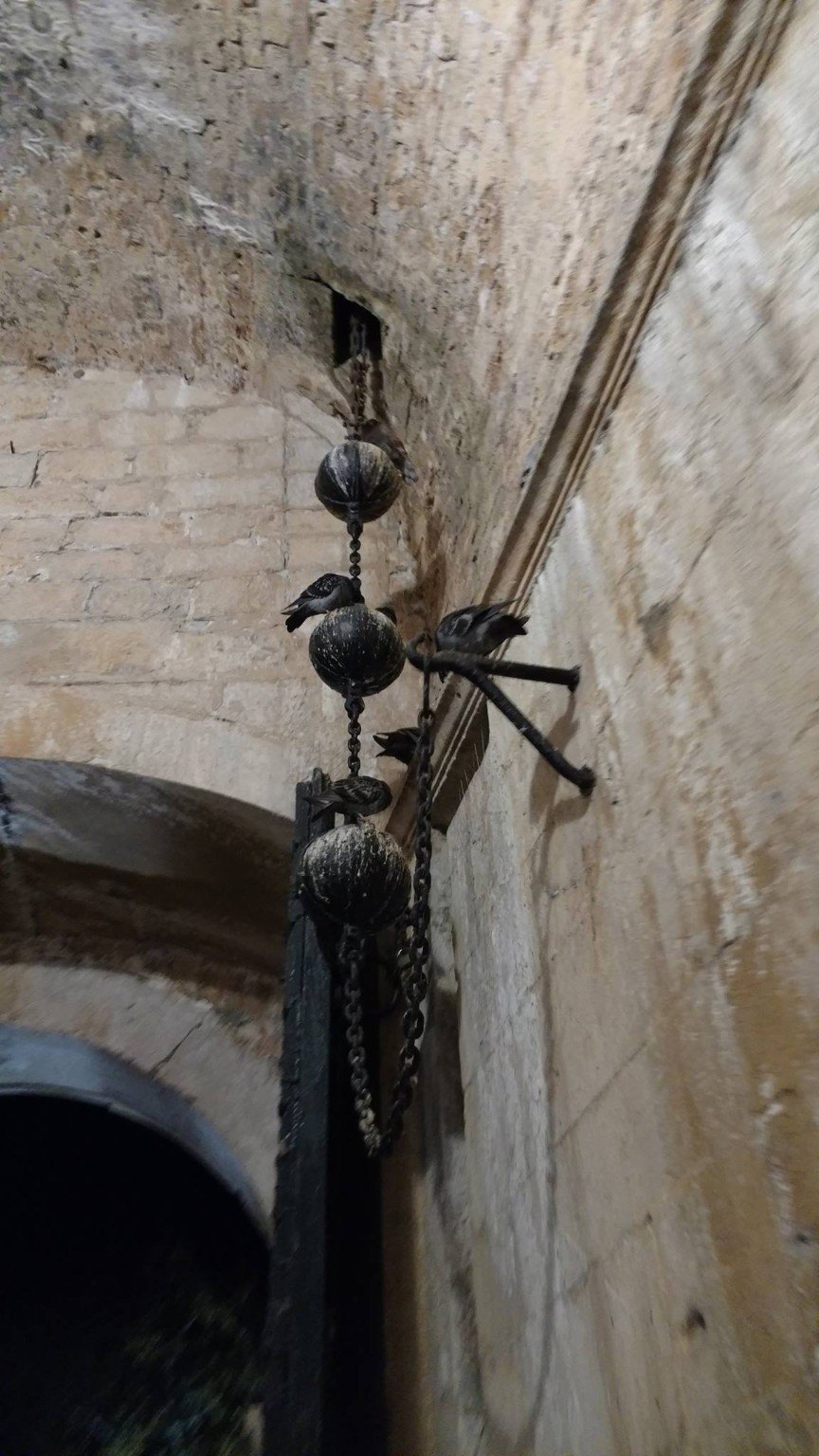 Orlando's Column in Dubrovnik old town