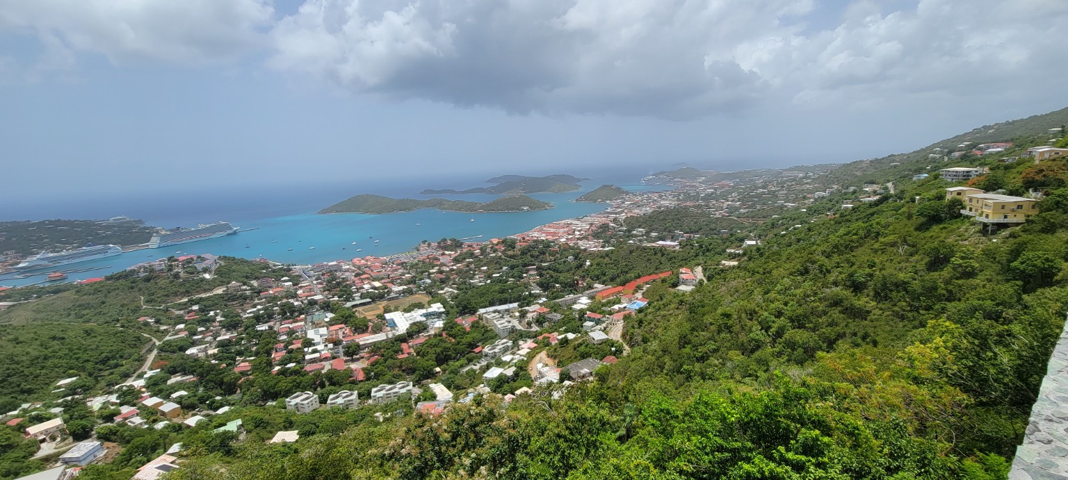 Cruise ship in turquoise harbor framed by tropical greenery
