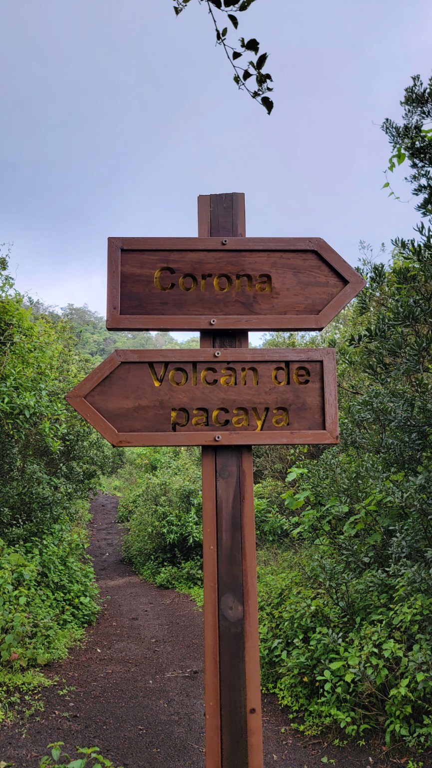Wooden trail sign on the Pacaya path pointing to Corona and Volcán de Pacaya
