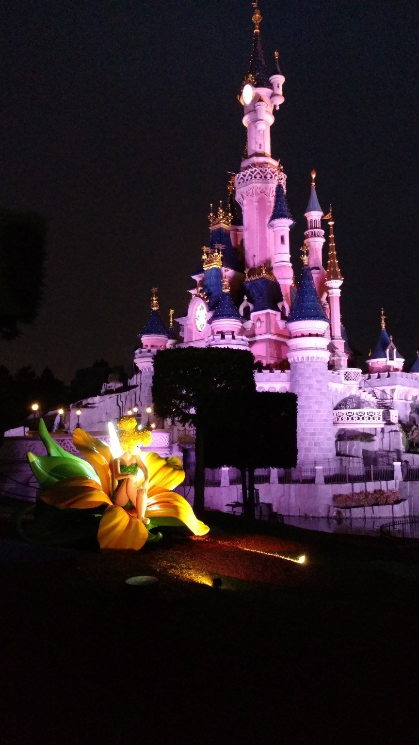 Disneyland Paris castle lit pink at night
