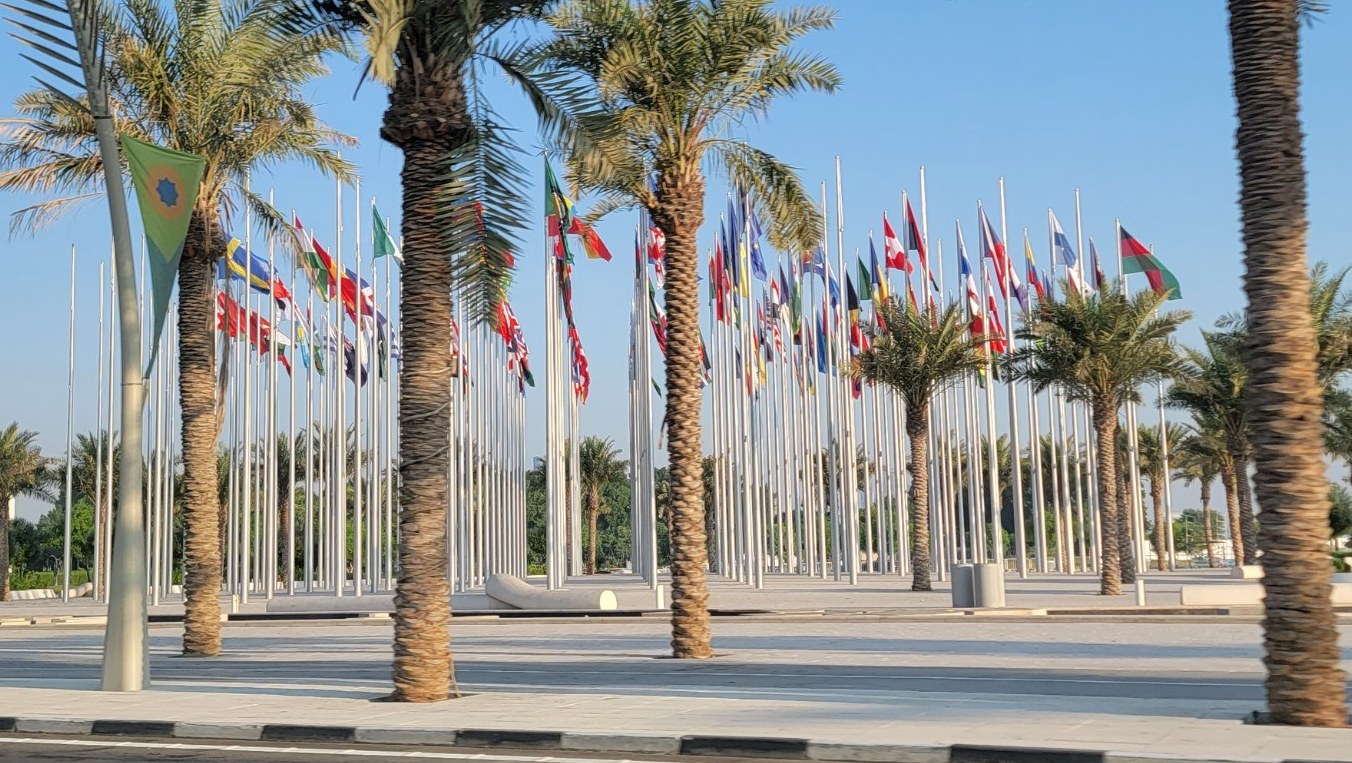 Flags and palms in Doha