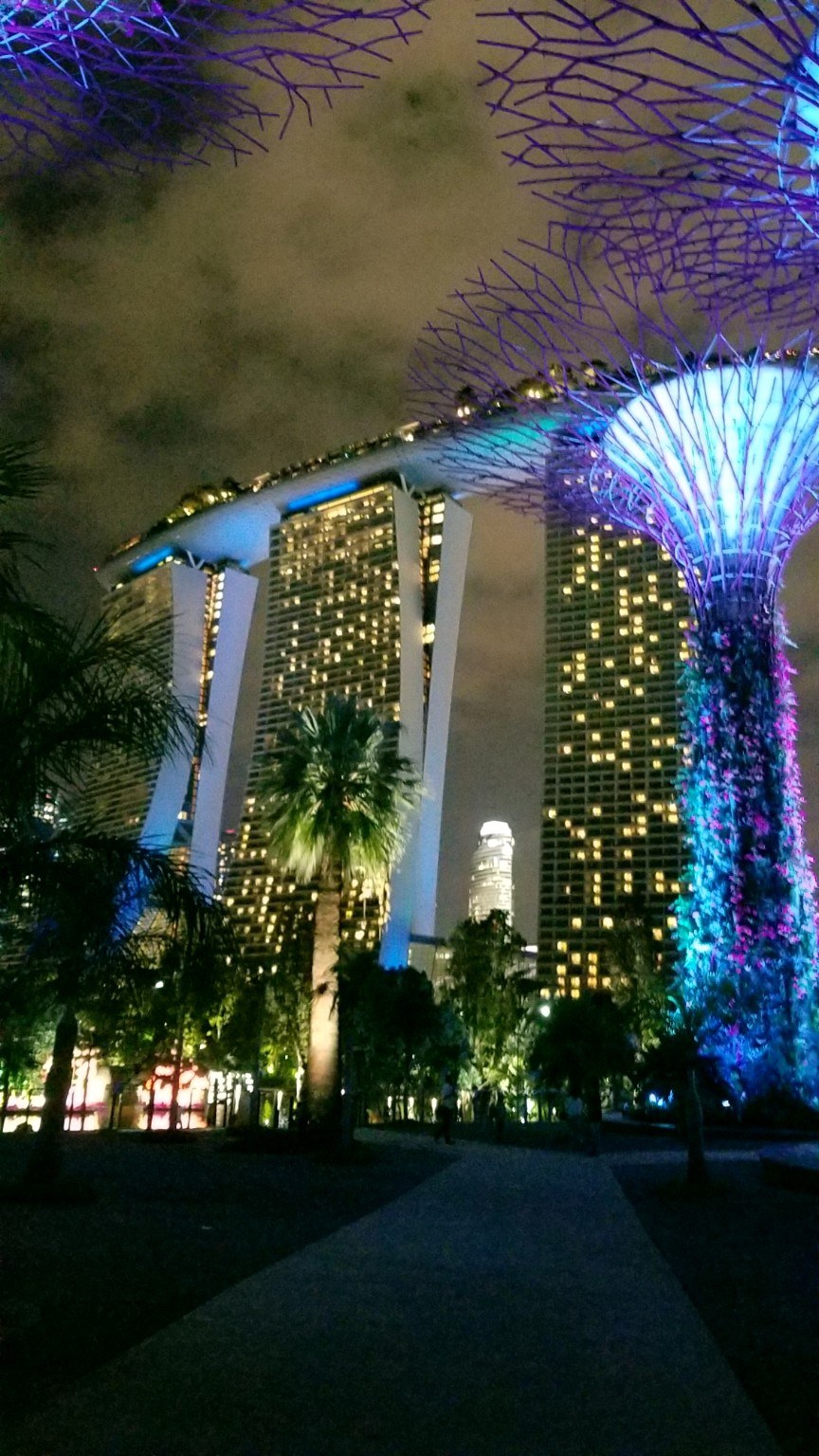 Gardens by the Bay Supertrees glowing with Marina Bay Sands in the background