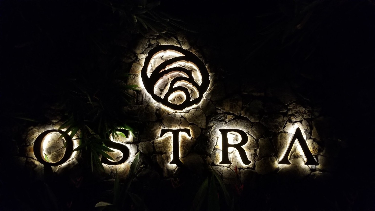 Ostra sign glowing at night