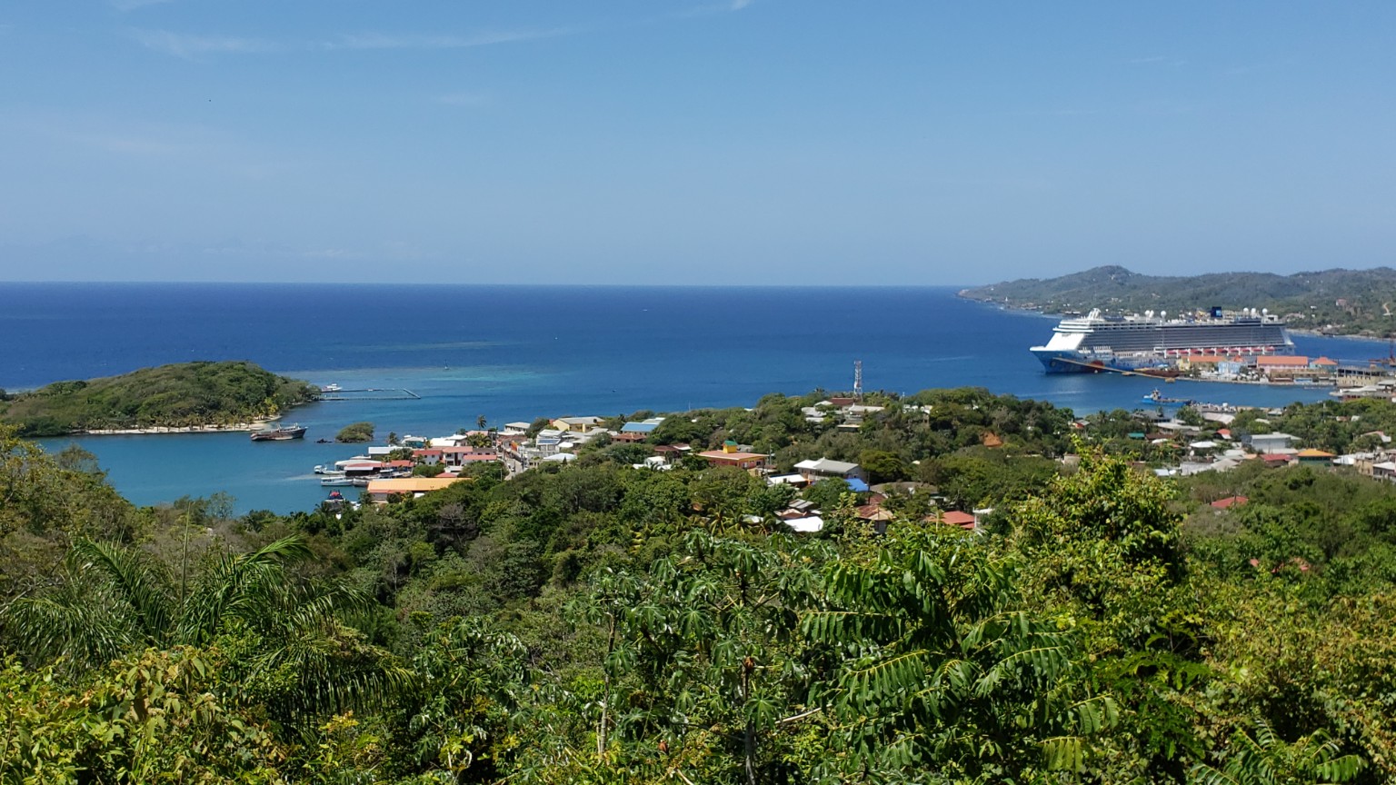 Island overlook with cruise ship in the distance