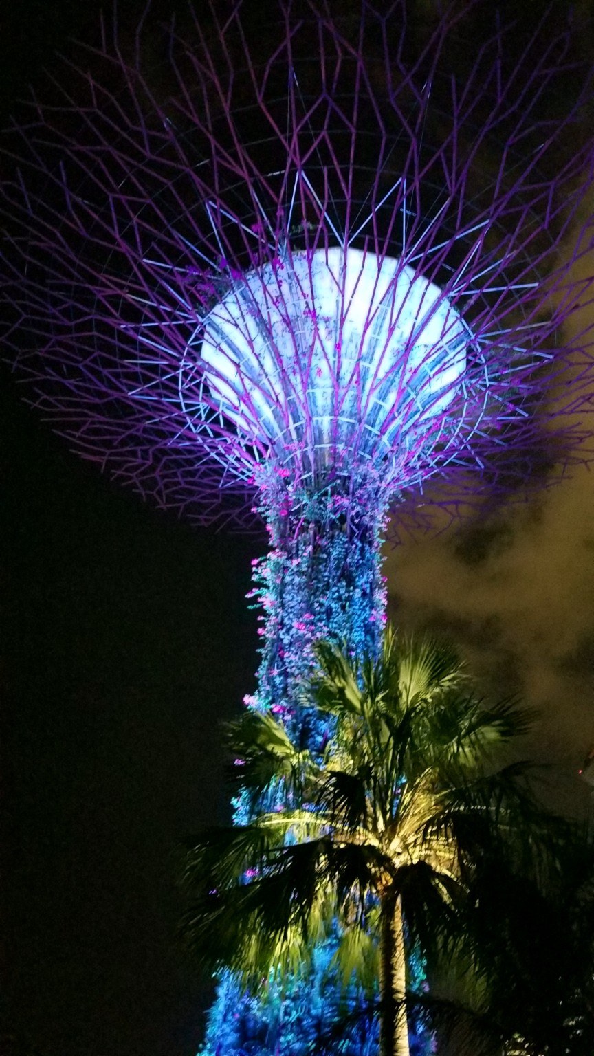 A Supertree at Gardens by the Bay seen from below