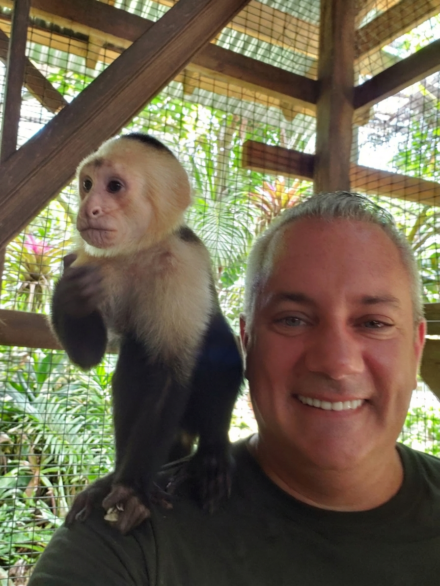 Capuchin monkey perched on my shoulder