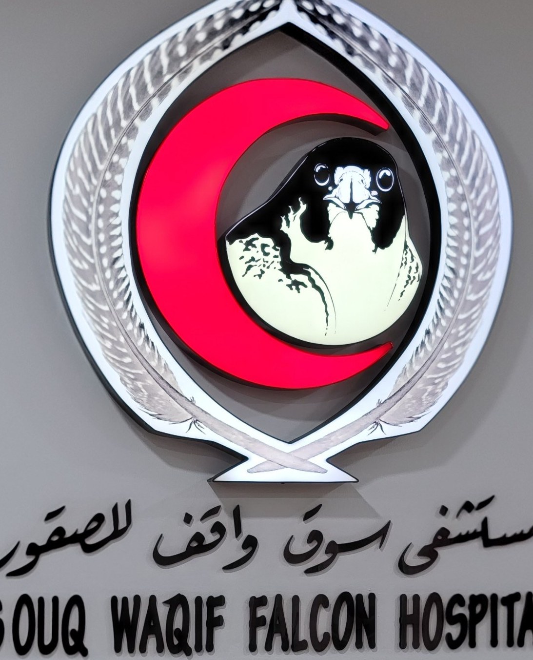 Souq Waqif Falcon Hospital