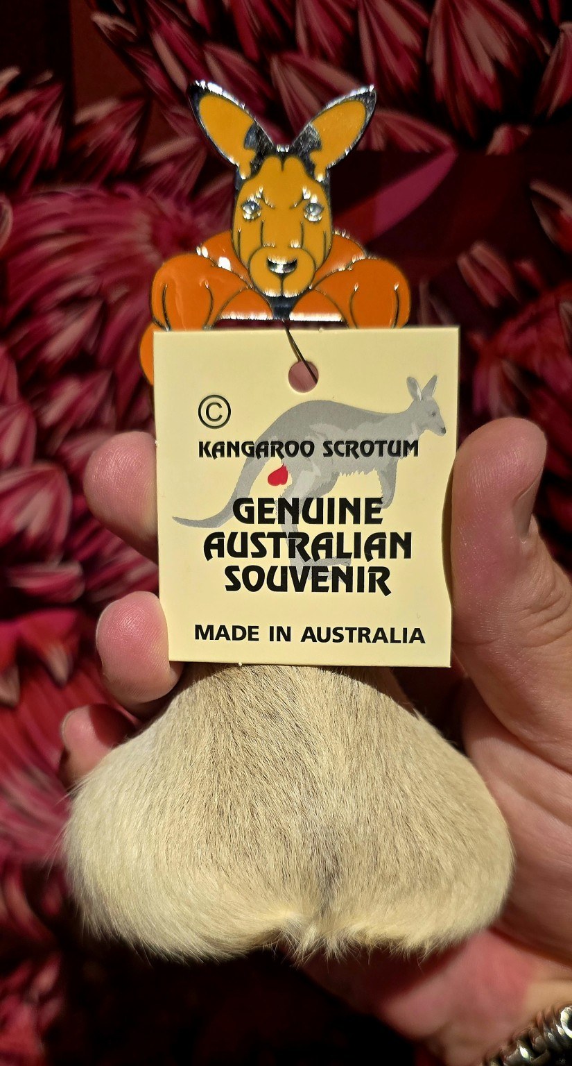 Australian novelty souvenir from a Sydney gift shop