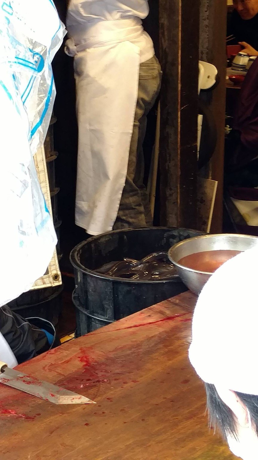 The live eel bucket
