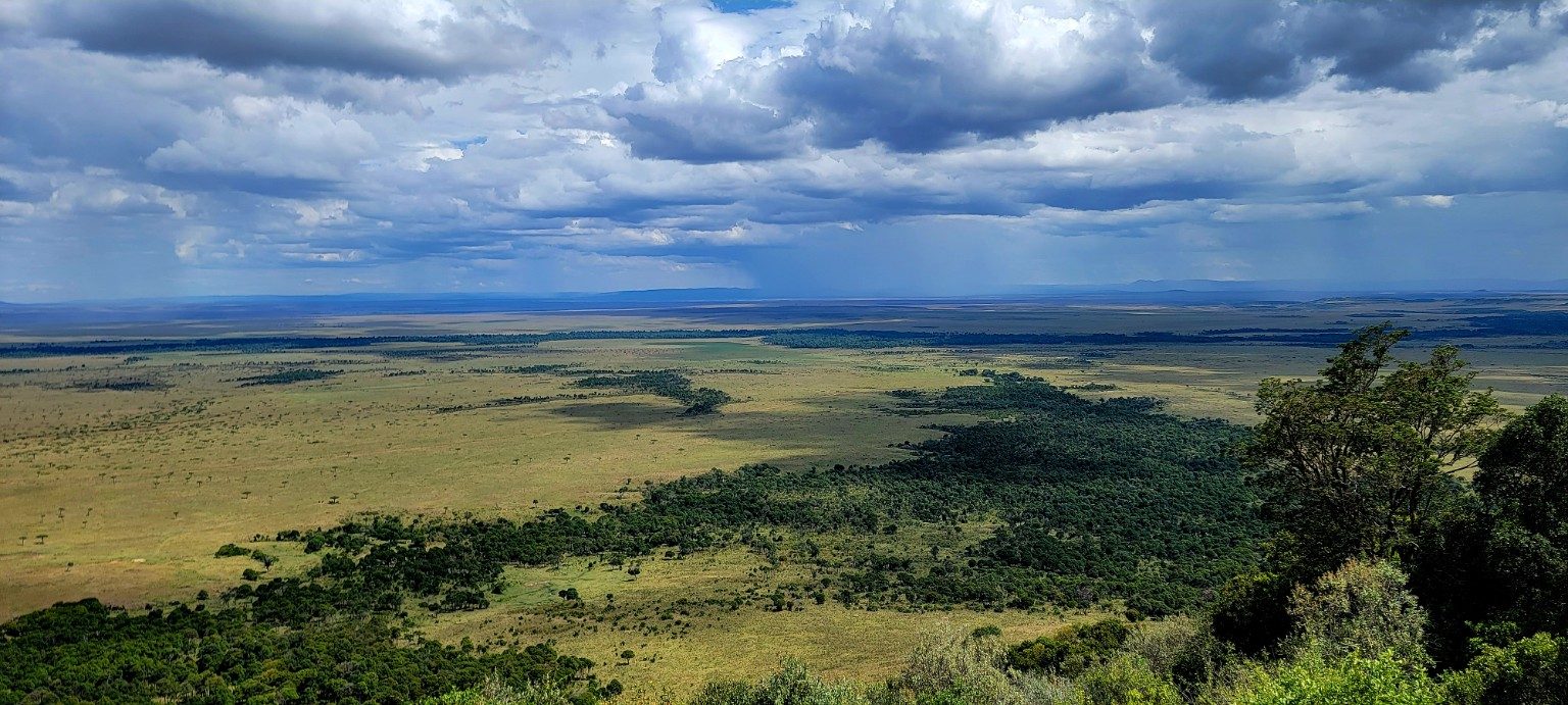 Wide aerial-style view across the Mara Triangle with riverine forest threading the savanna
