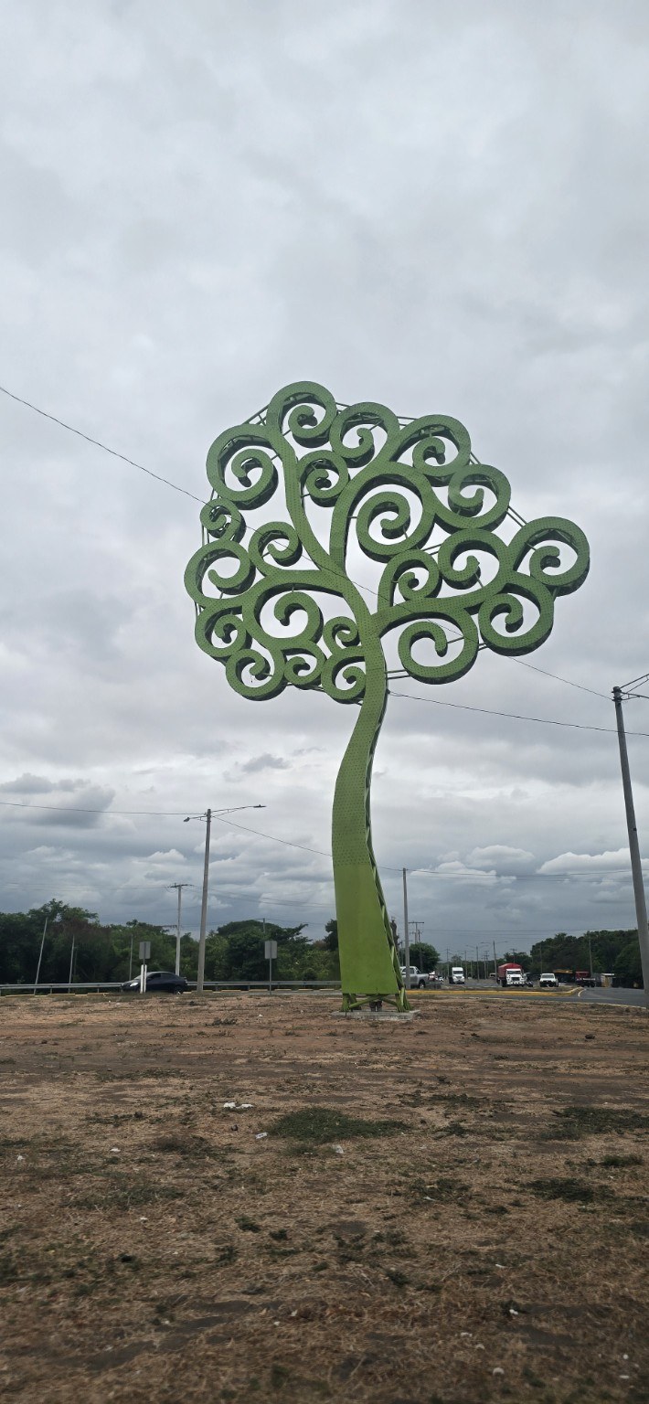 Green Tree of Life along the roadway