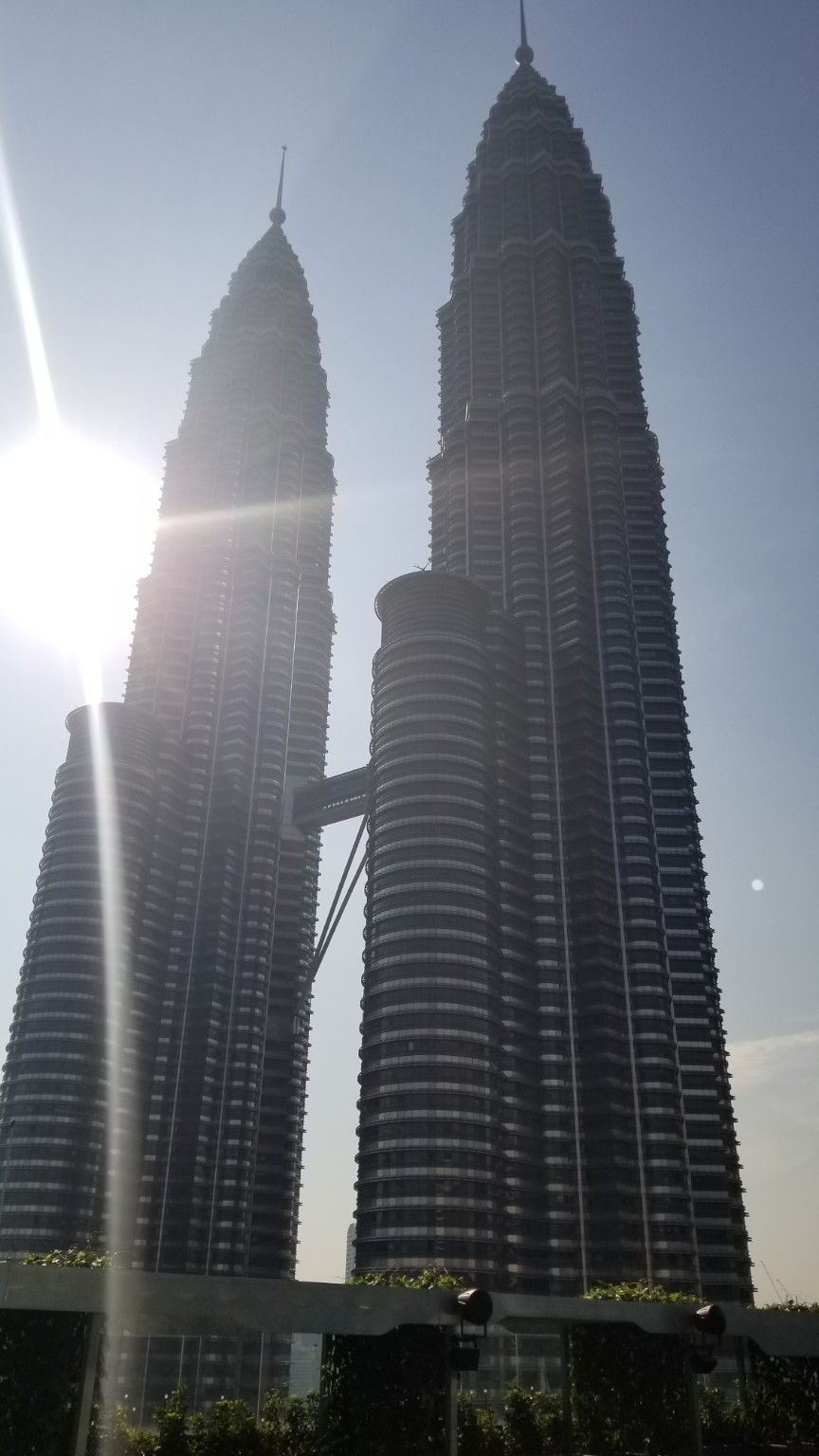 Petronas Twin Towers by day