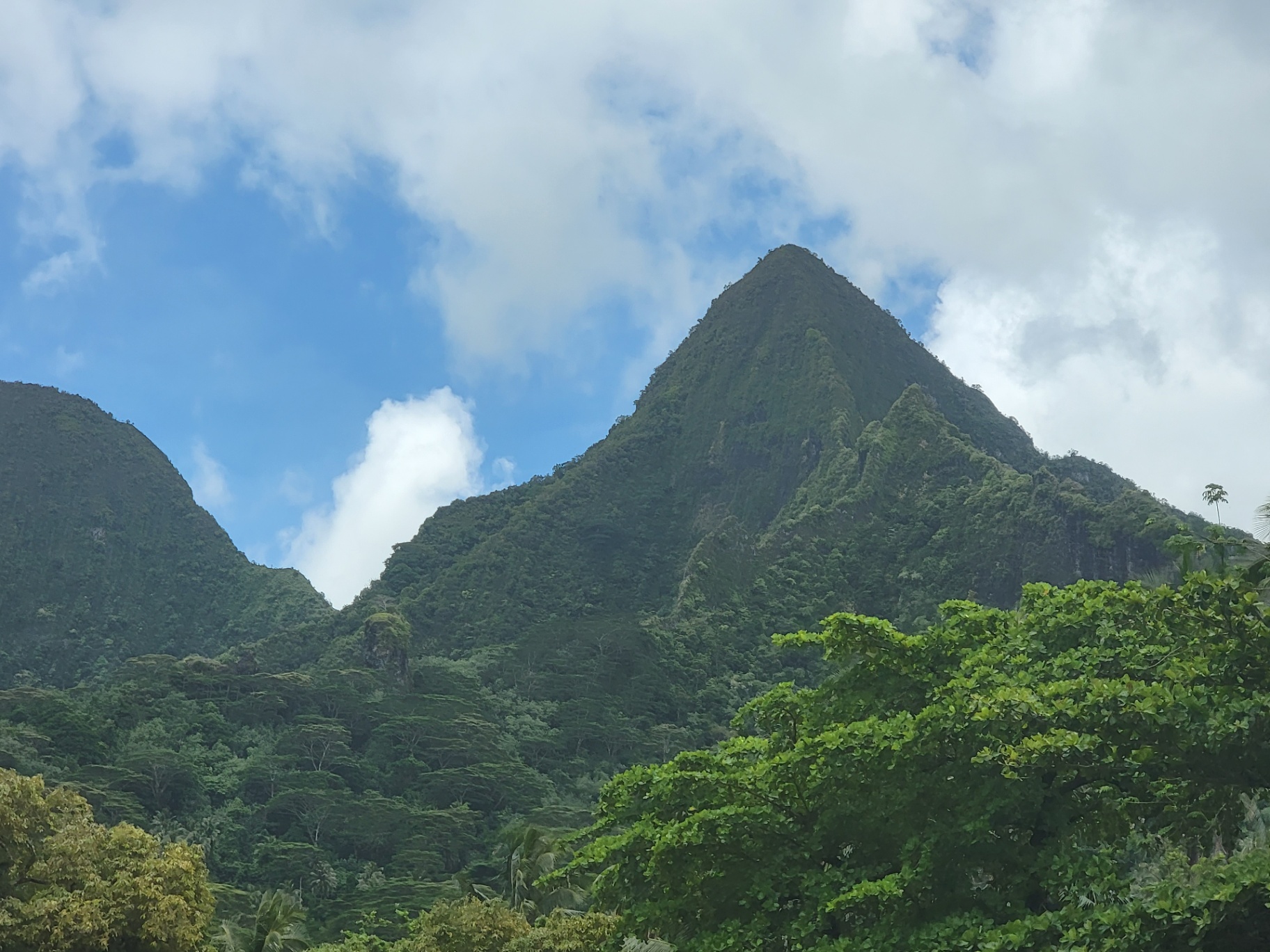 Sharp green pyramid peak rising above the jungle on Moorea under a blue sky