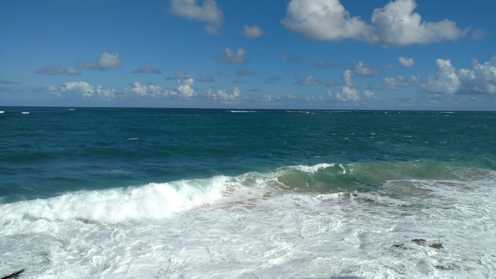 Atlantic waves breaking just off the Condado shoreline, deep blue water rolling into whitewater.