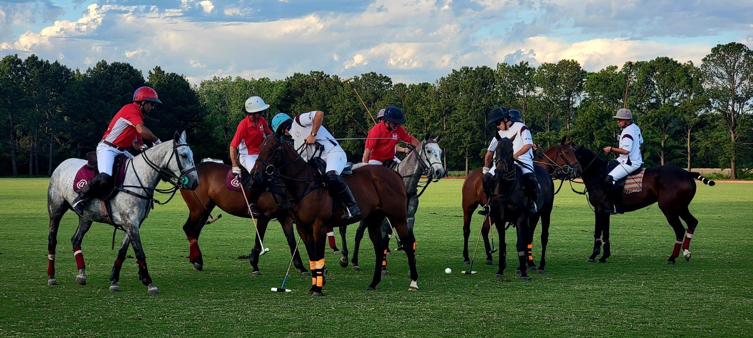 Polo match in Buenos Aires Province