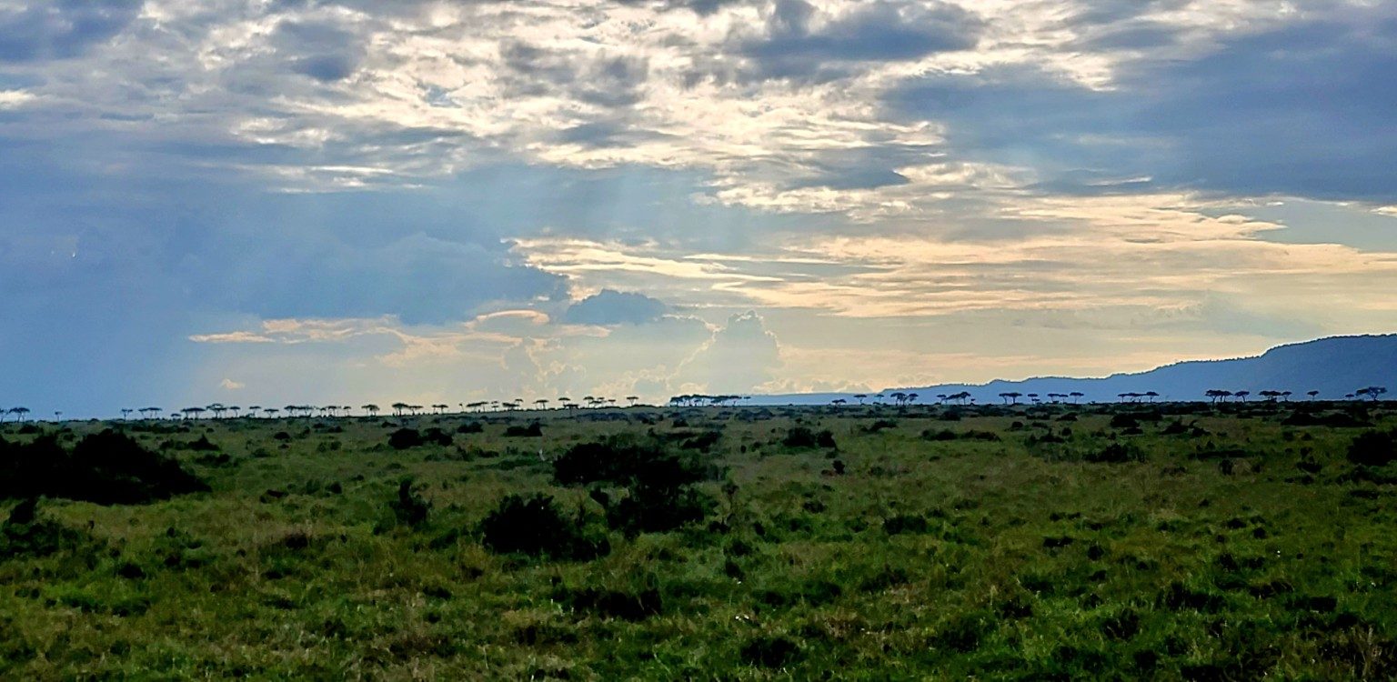 Wide-open Mara landscape under an enormous sky