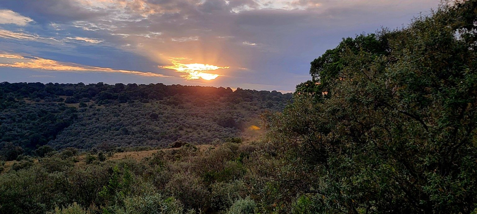 Sunset over rolling Mara hills with bands of orange and violet