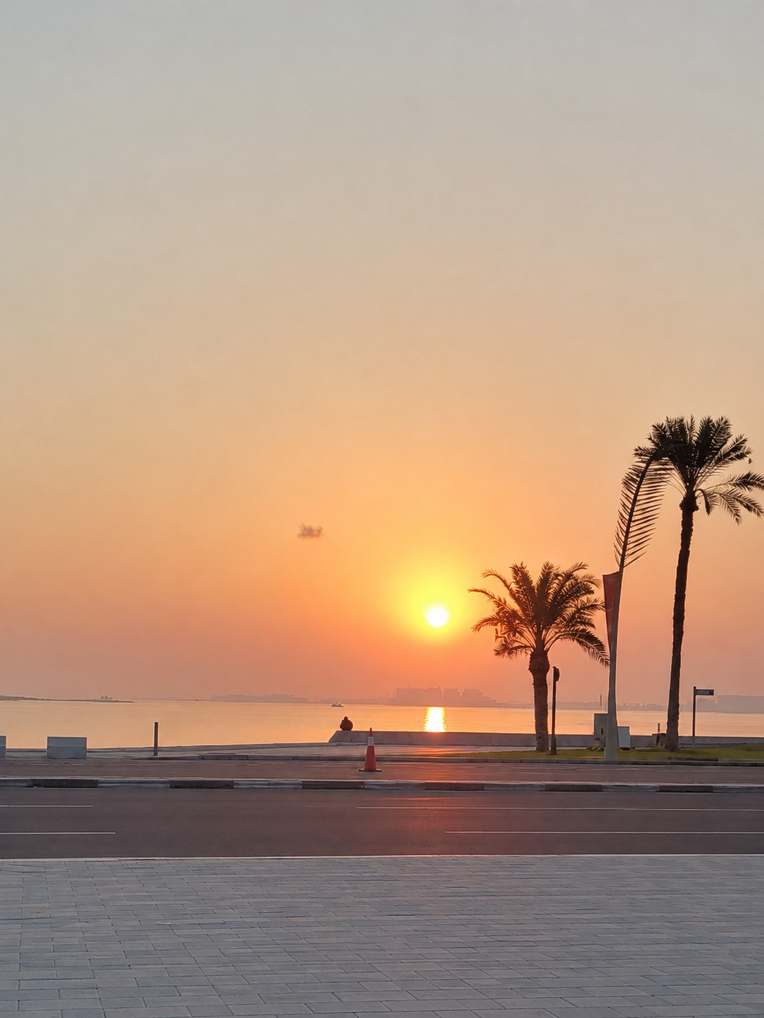 Doha sunset over the water with palm trees