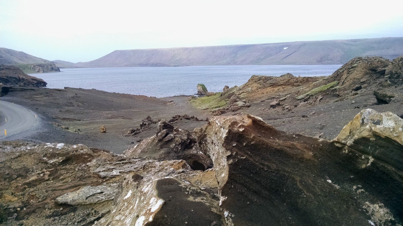 Icelandic horses along the roadside
