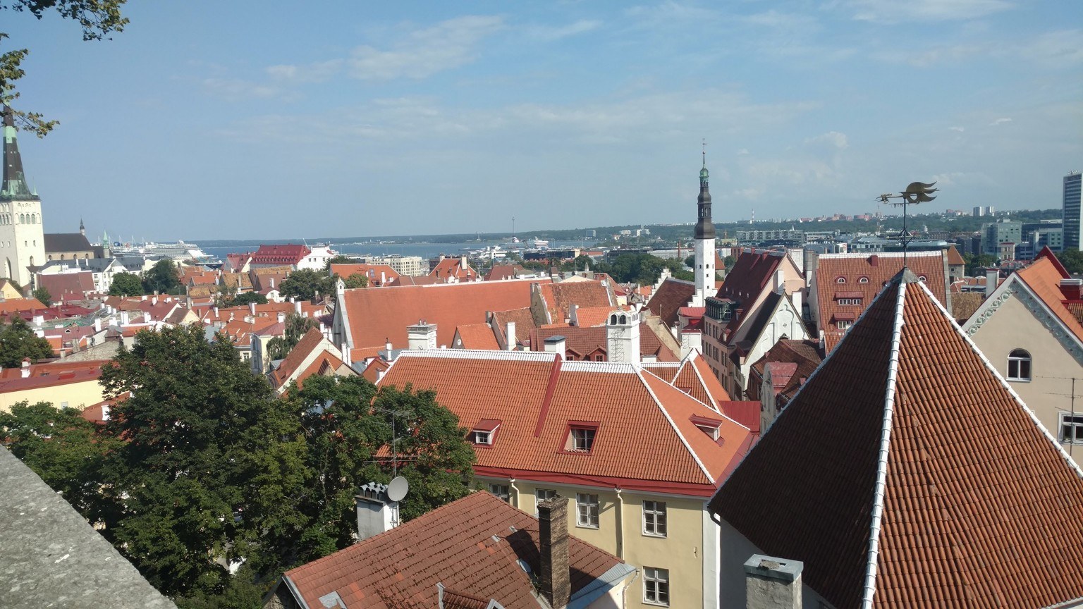 Tallinn Old Town rooftops with red tiles, spires, and the Baltic harbor beyond