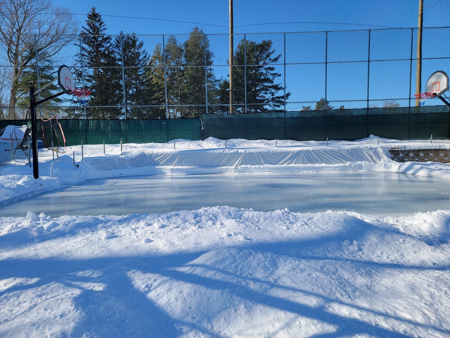 Wide view of the refined later-years backyard rink