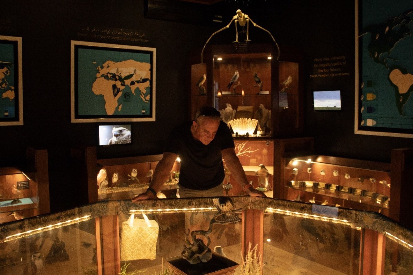 Inside the falcon museum and hospital