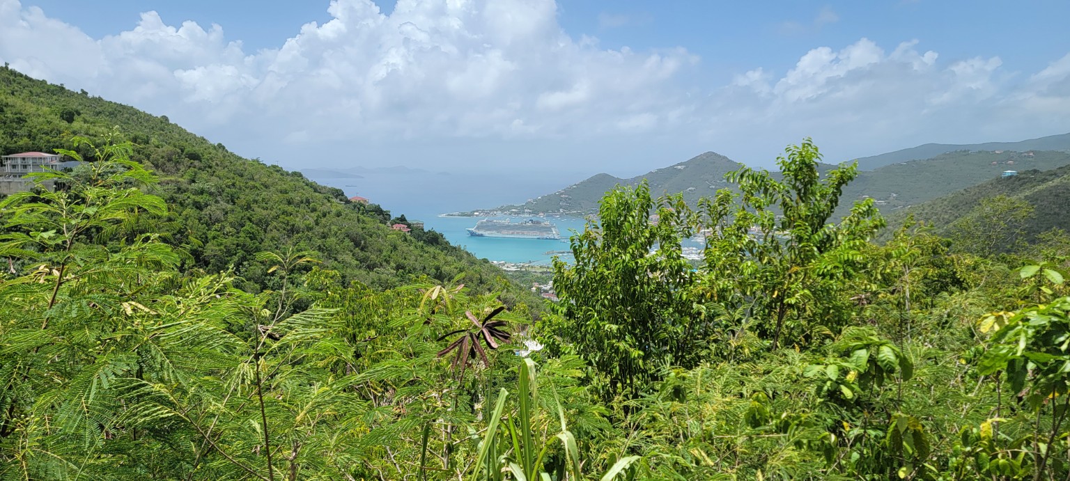Cruise ship and harbor viewed through tropical greenery