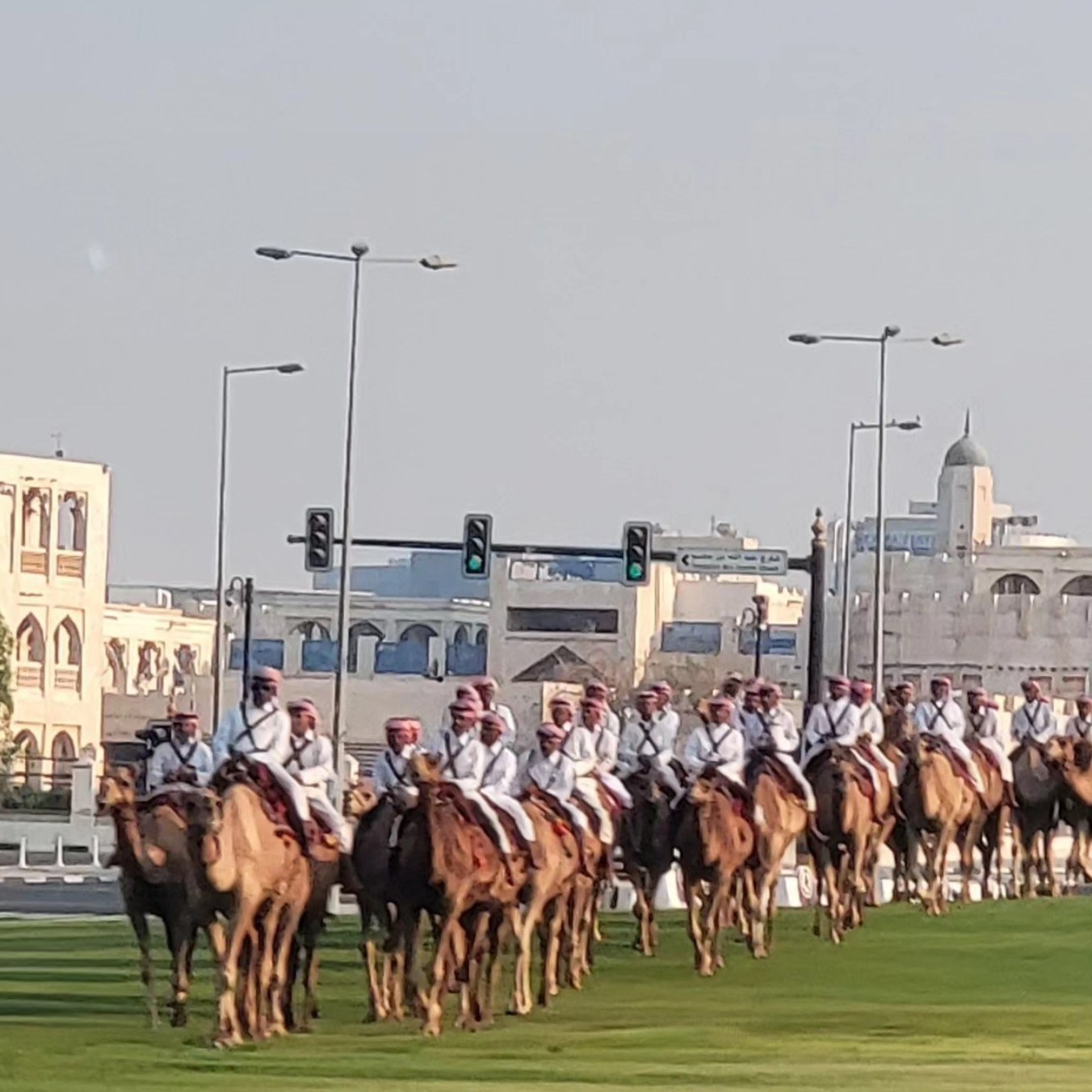 Camel procession through Doha
