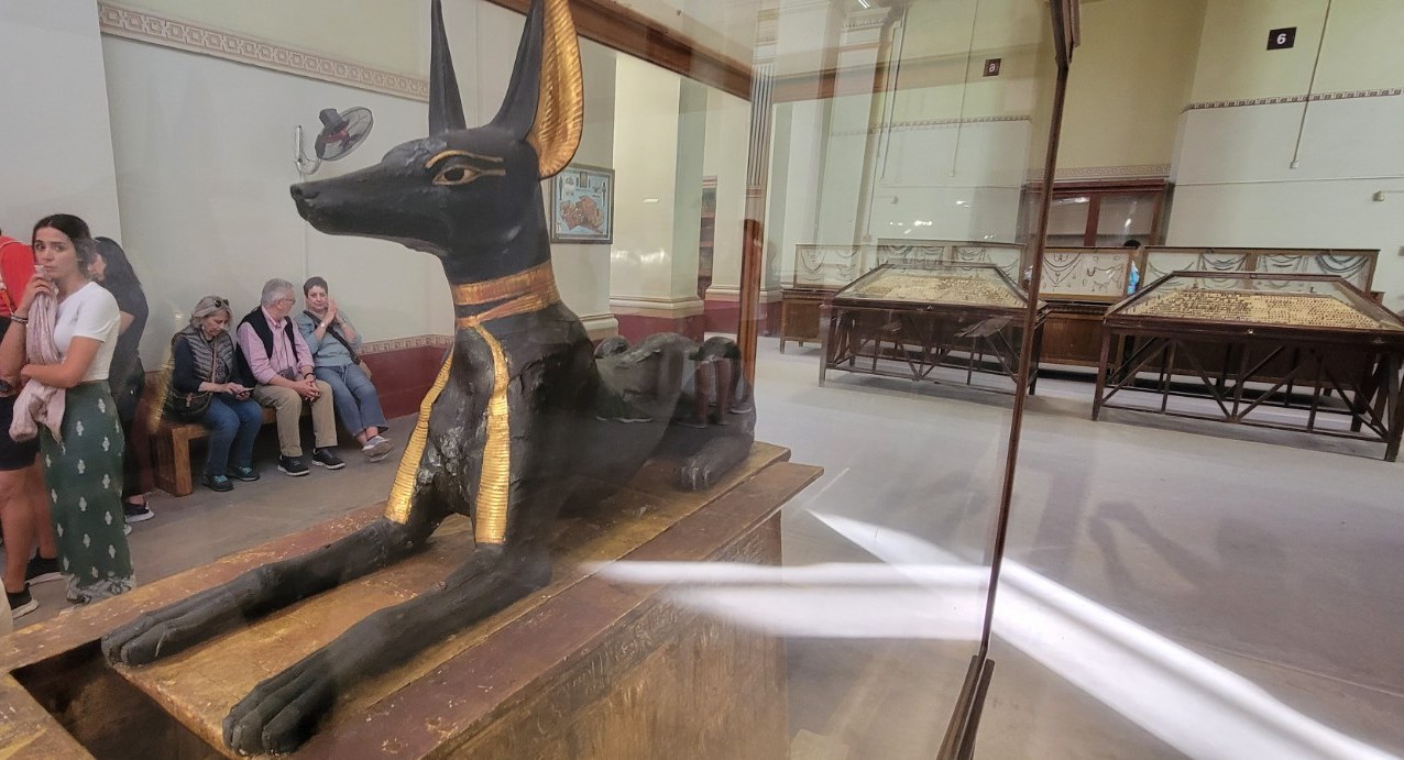 Statue of Anubis, the jackal-headed Egyptian god of mummification, in a museum case