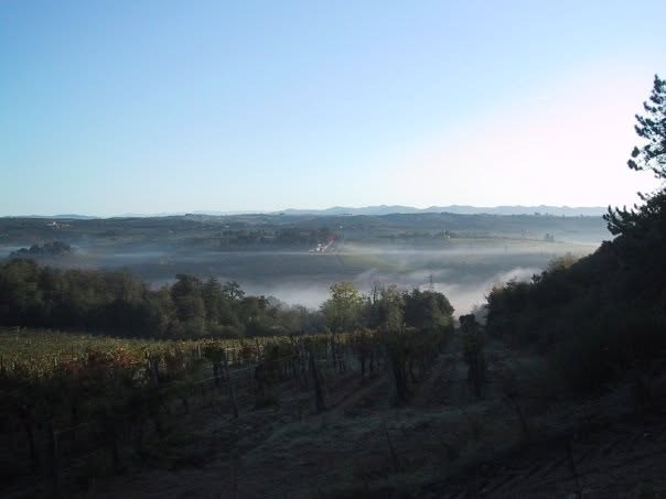 Morning light over vineyards outside Rome