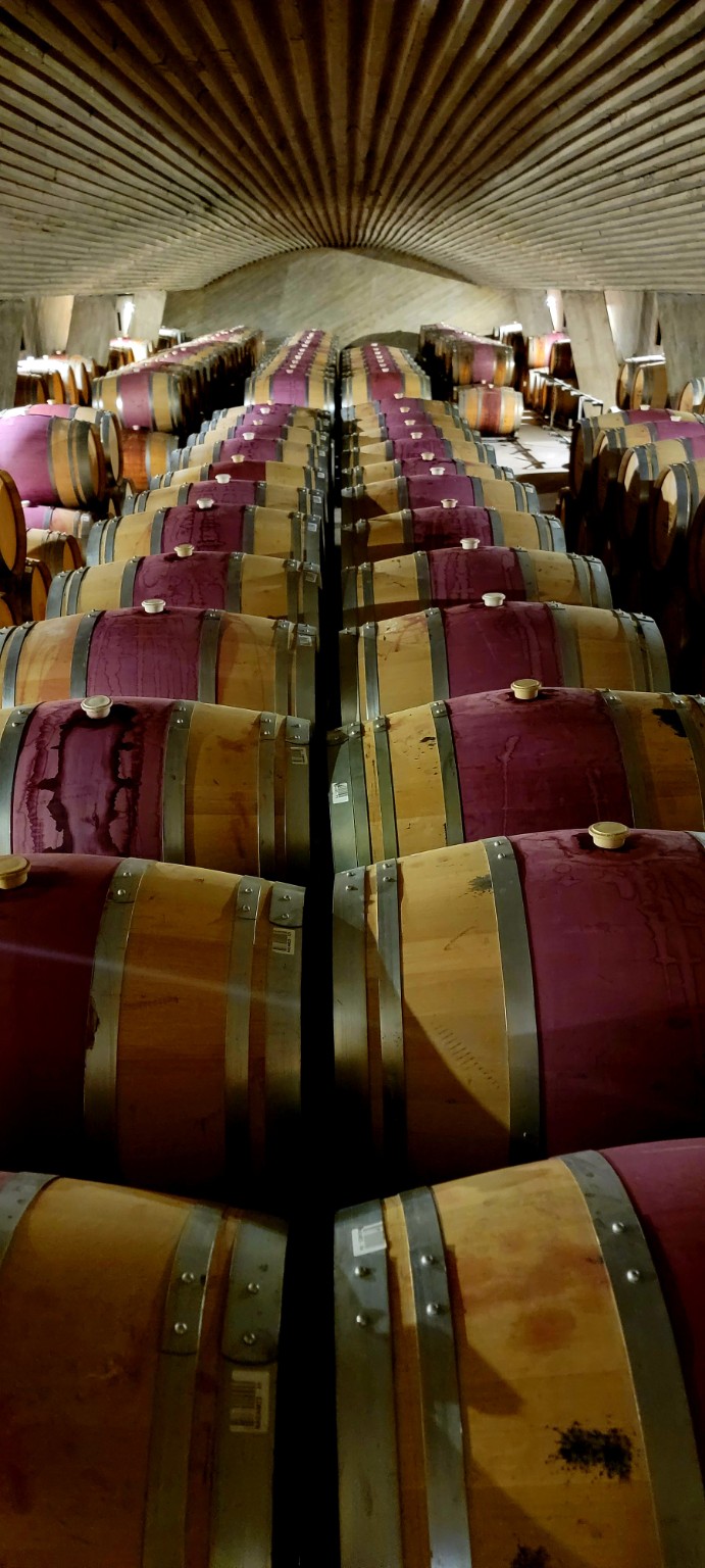 Rows of wine barrels in the Perez Cruz barrel room
